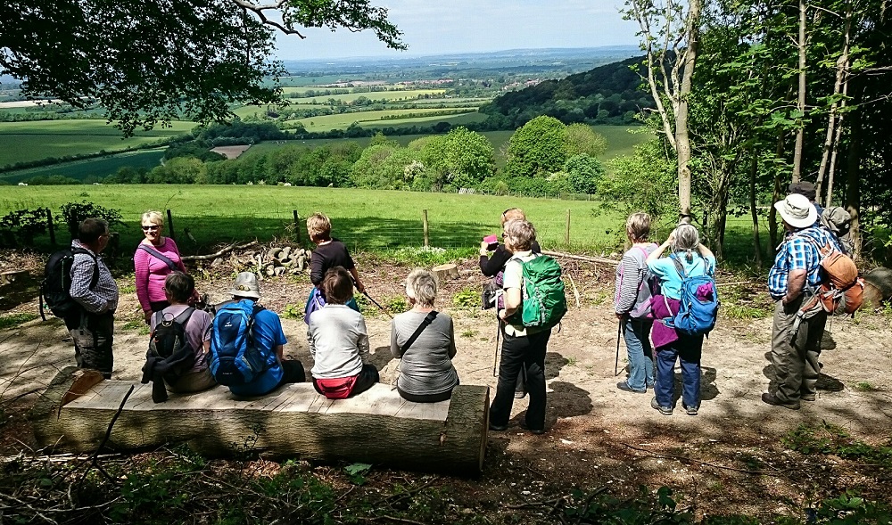 Chilterns walk View