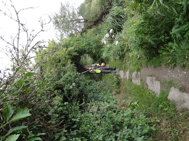Nik on Hedge Cutter