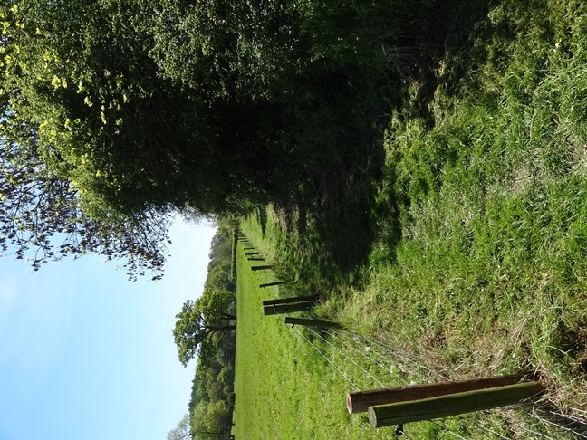 Path cleared
