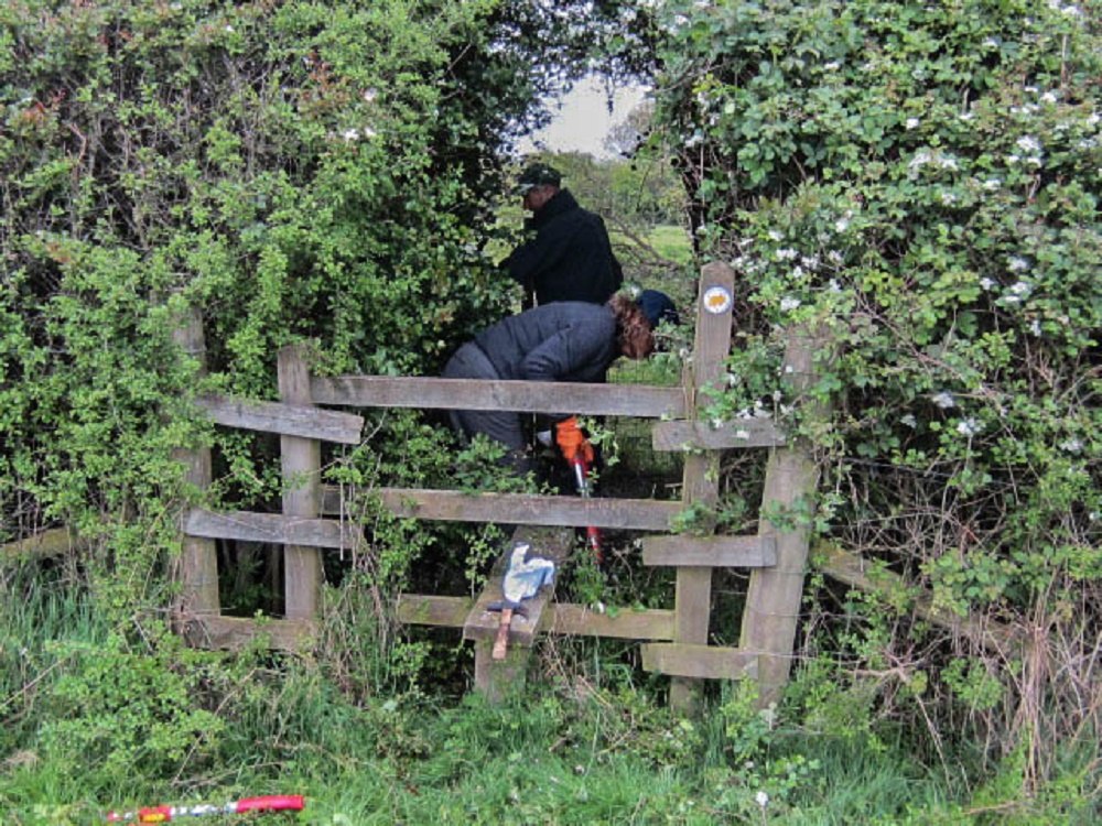 Piddington footpath 1