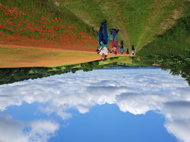Poppy photographers20250608 114548 Small