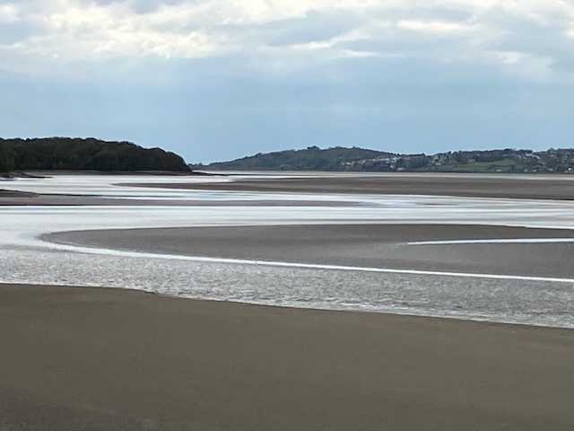 Estuary Louise KnightIMG 5285