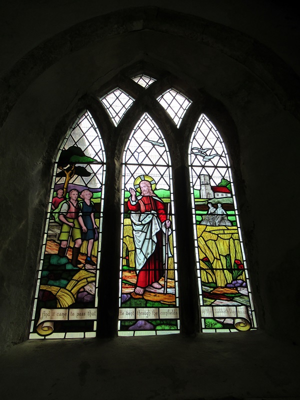 IMG 0701 Copy