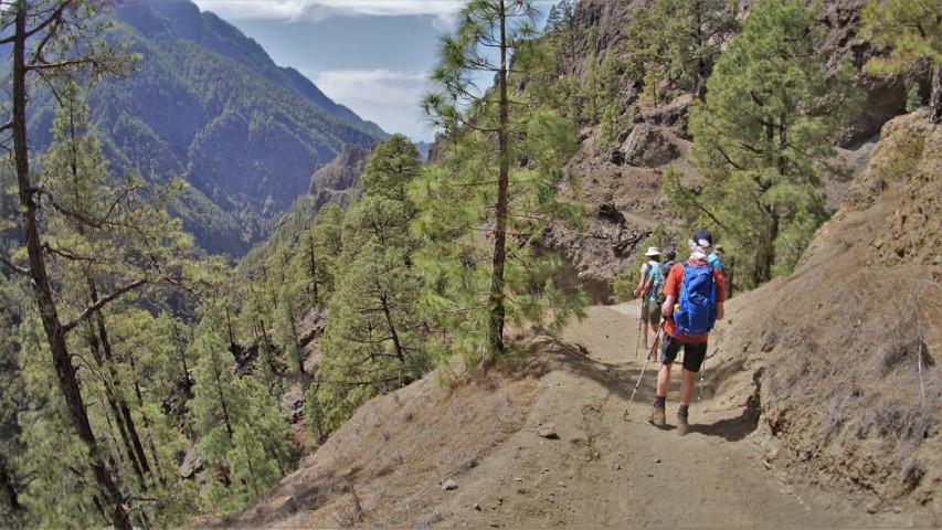 La Palma Walk 4 11 Copy Small