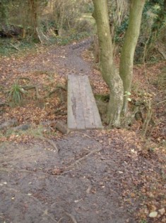 Path 3 Dangerous bridge S